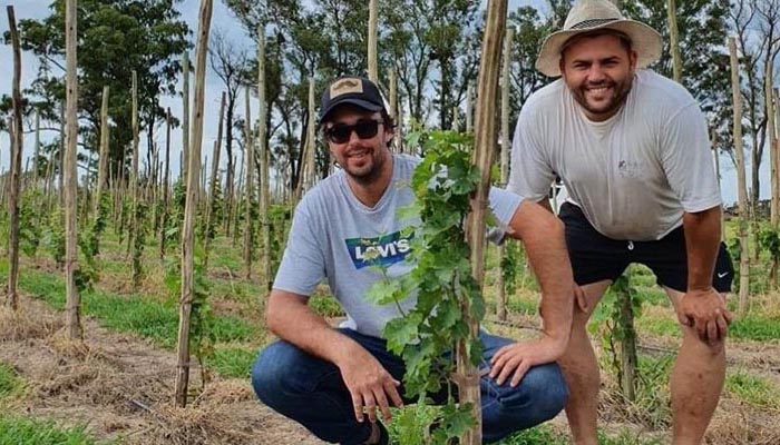 Tras acuerdo con Coviar, la provincia de Santa Fe potencia su sector vitivinícola